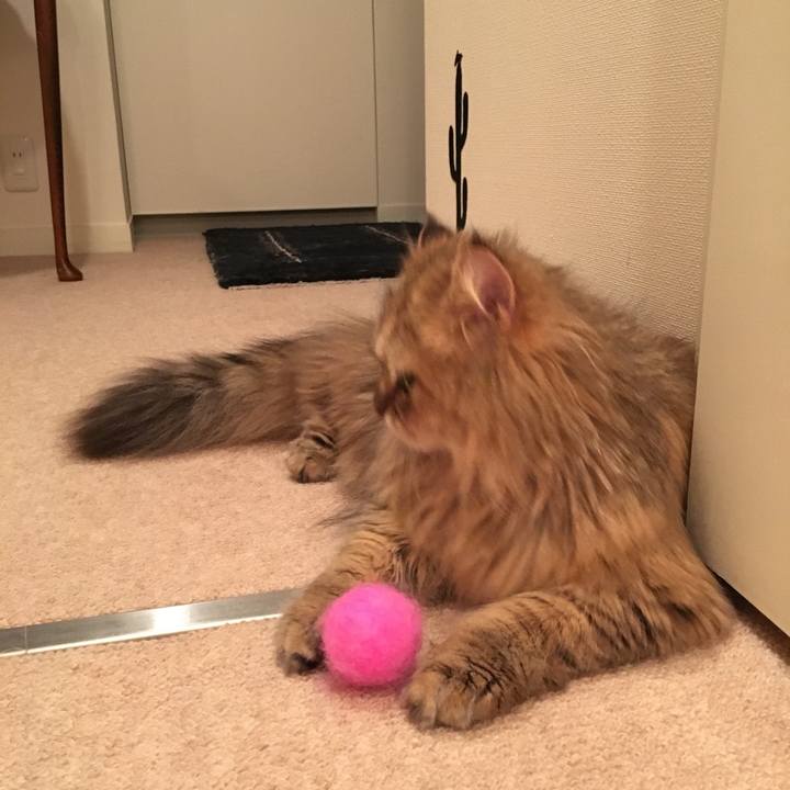 64a4ee4e 97bf 442c b402 9efe09d5c112