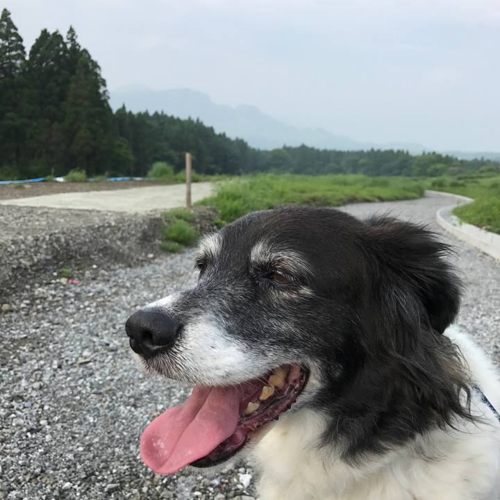 64a523bc 1808 4d2c bc93 5f62a376a4b8