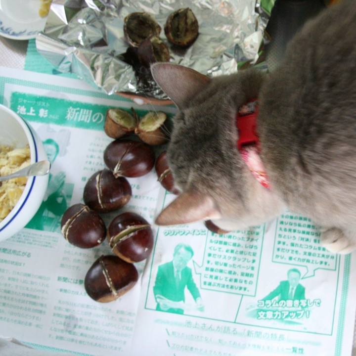 64a55665 8ca6 4334 8c76 86093bb5032d