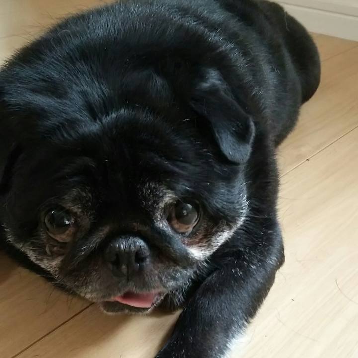 64a5955f 9eb5 402a bc41 b6715f88893c