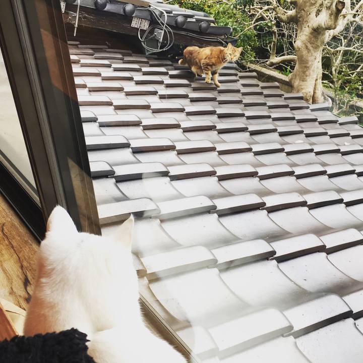 64a59ff6 9ce9 4b0d ab77 56f268a93fb8