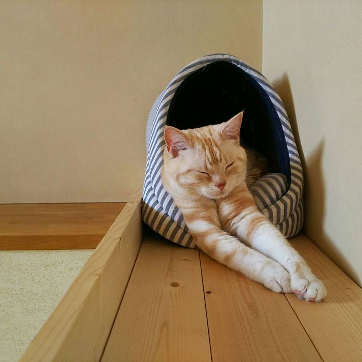 64a5d353 cab3 4167 bf1e 75f8b64f58df