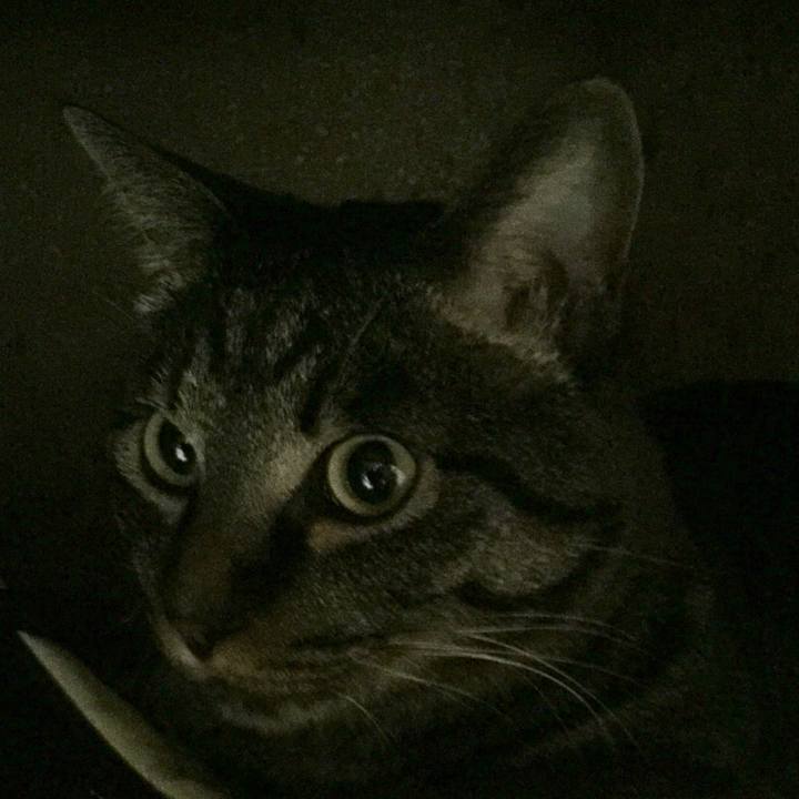 64a5d866 5c64 423e a4de 92e23966f09b