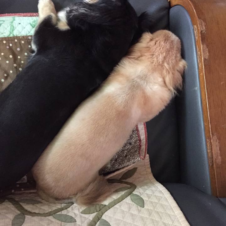 64a74aed 92ae 435d 9b9d f8870c0eebee