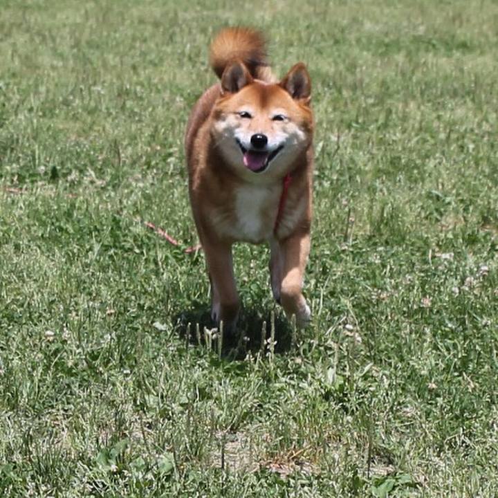 64a76f0e f174 4cf4 a38f e483faf832bb