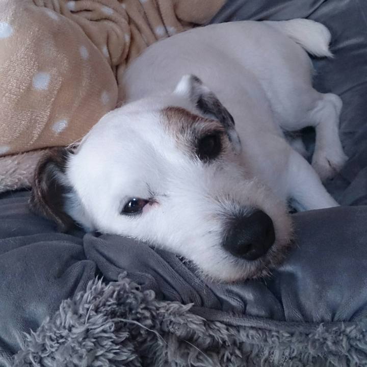 64a7e136 cc6f 4a67 a1ee dcf22a6fc215