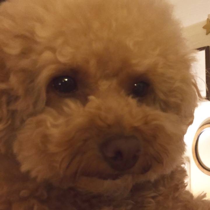 64a82796 d29c 42da 9e8d bbac71f2c068