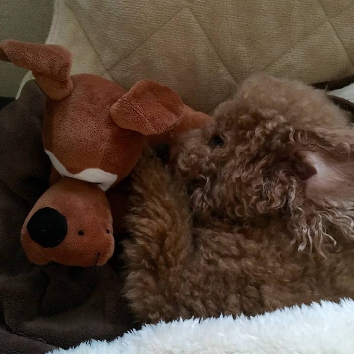 64a8da86 b2cf 4cc6 9319 5dbd0e866d3f