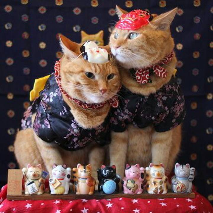 64a90e32 c86b 474c 99c7 de8e02921ff9