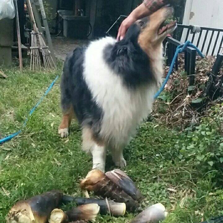 64a92644 43c8 4446 b4d8 6264c2f98e0a