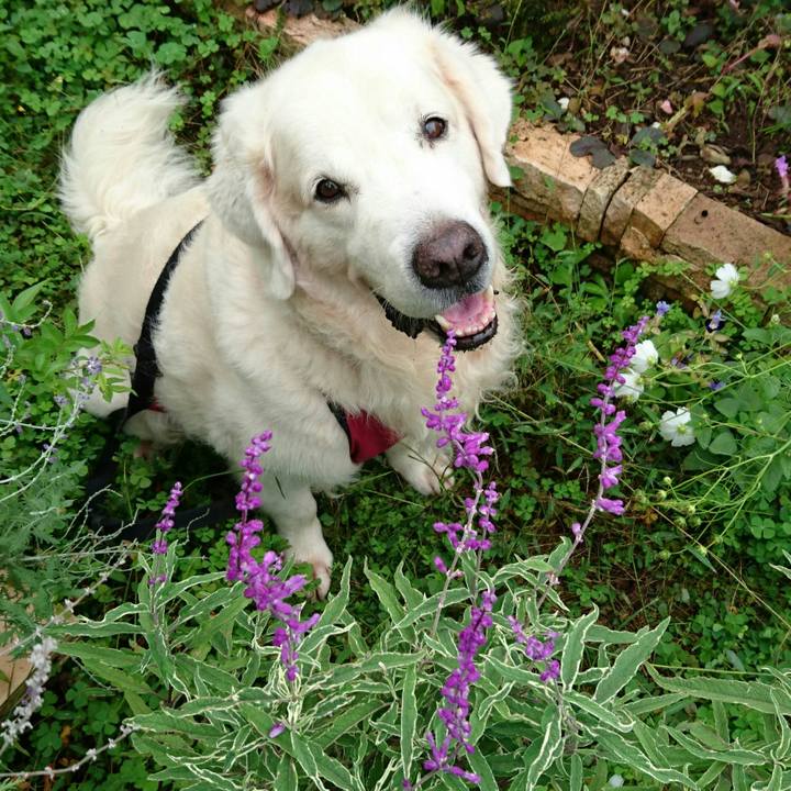 64a92ae3 563c 48d4 b3e1 ca1683803a5c