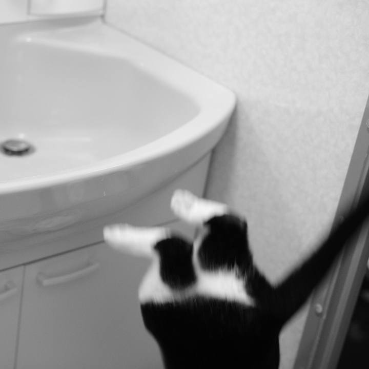 64aa4f65 8d03 4bf1 865b 6f68a6f6f52f