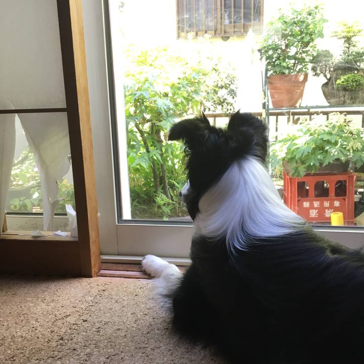 64ab7b10 153c 4724 a712 8bc966590970