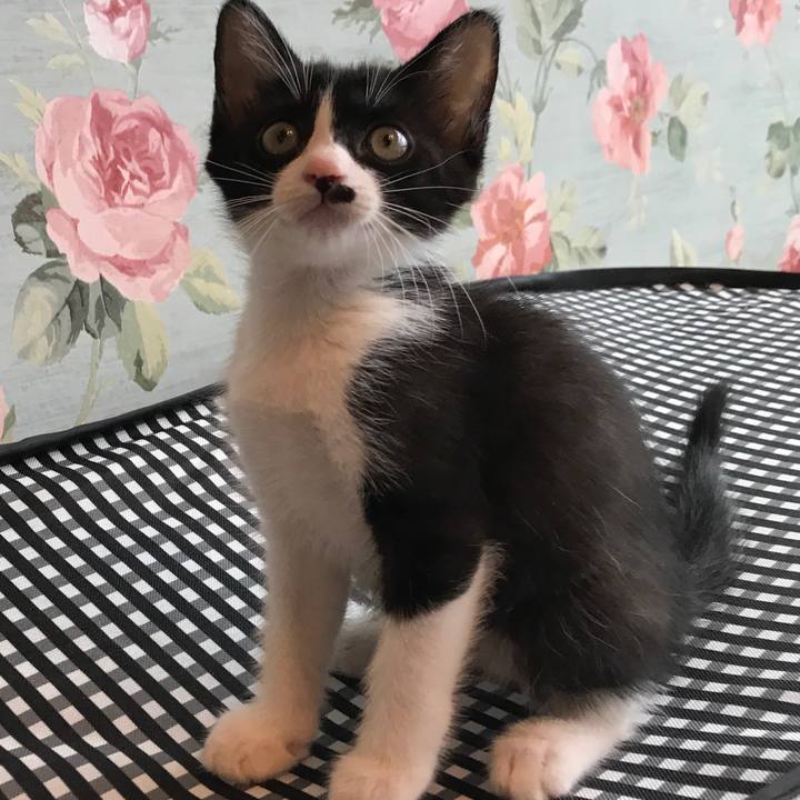 64ab8e7b c2d2 4601 ad3f d0dd141a8efc