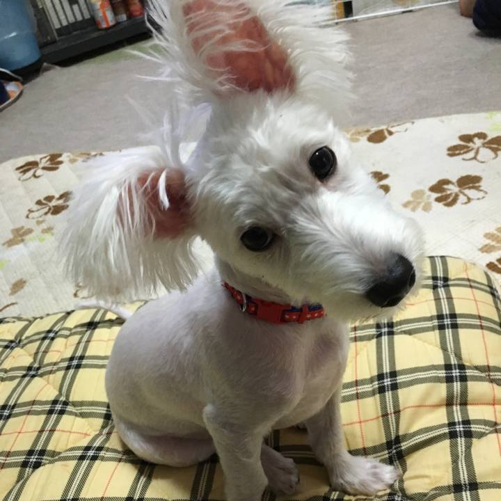 64aca705 57c8 48ad 8e08 8f859cd8025a