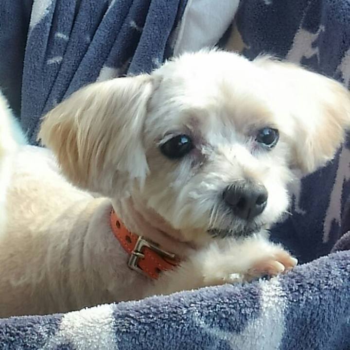 64acb5cf 11be 449e bc9a 17b2363e0fb1