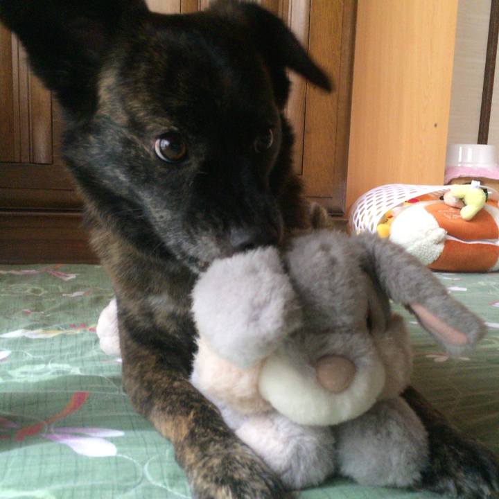 64ace376 5bd1 4f1a b2fe f89de81caf8c