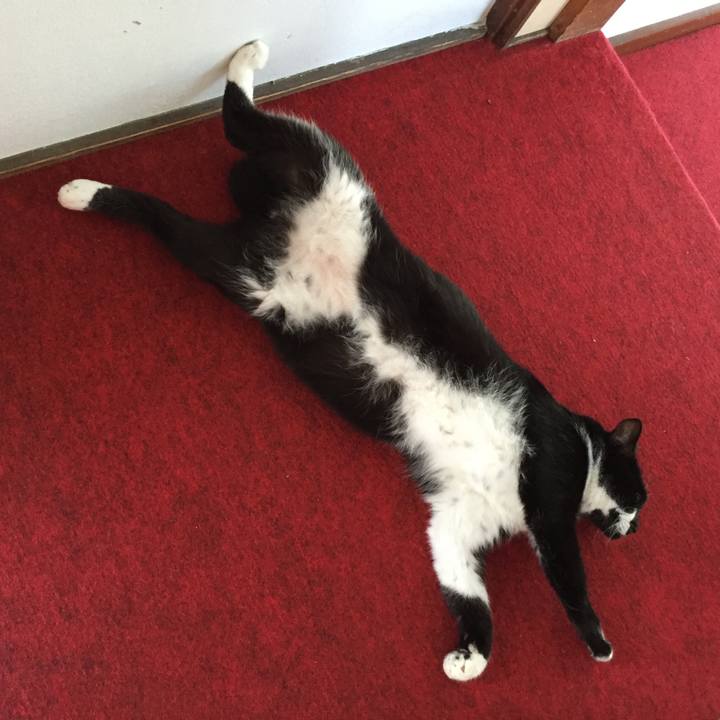 64ad7284 50b0 40c7 8168 0be35ec9424e