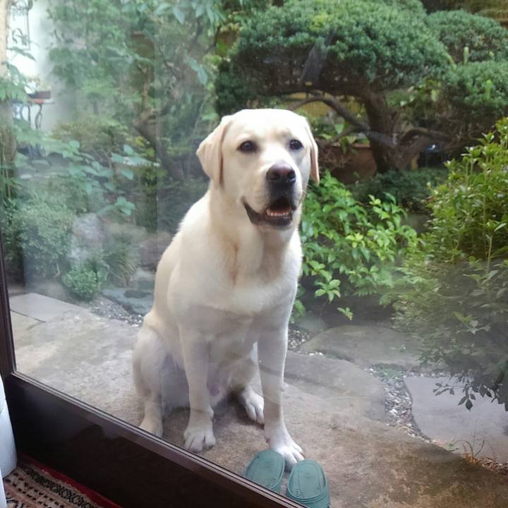 64ad7c13 b51c 41dd 8717 8a213e03b86a