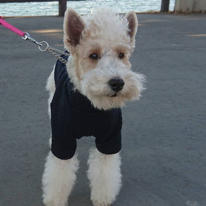 64af6569 389a 4208 aa74 7ba53bb8c948