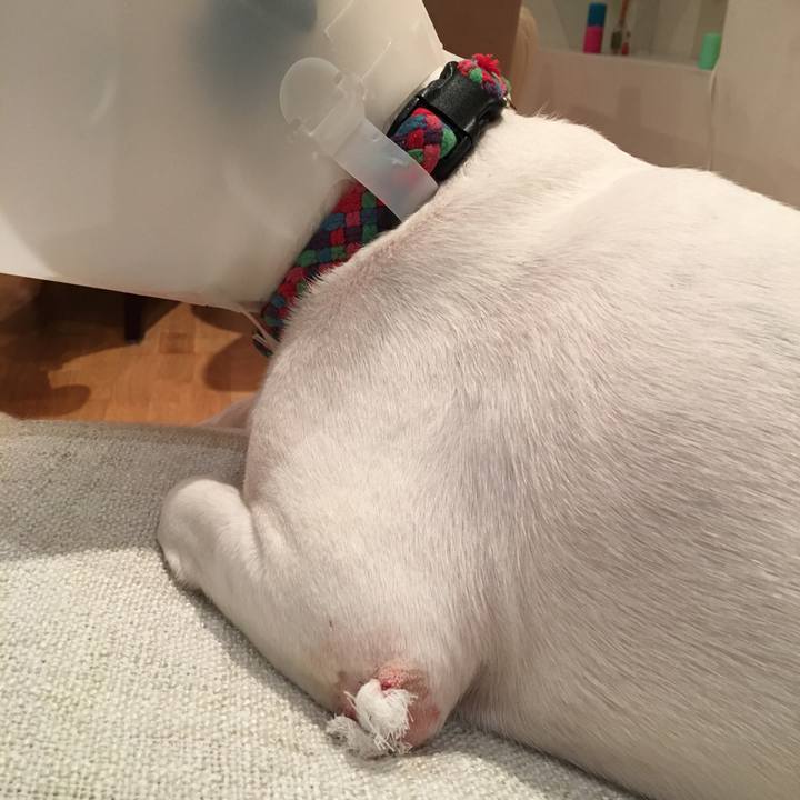 64af93b0 a4b4 491c 82e2 fa3e72556cc2