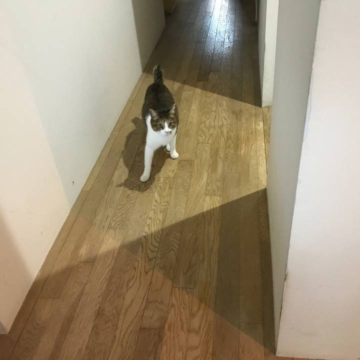 64b0ef3c c49f 4b9d 9b36 50436bdcf21e