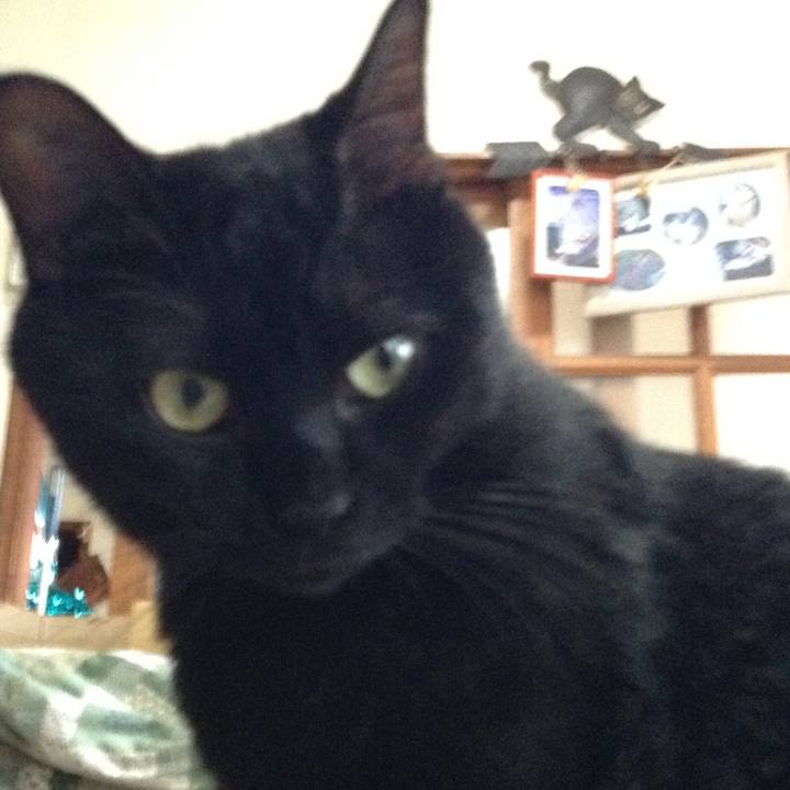 64b14cab ba56 4902 915c 2daf694bd9be