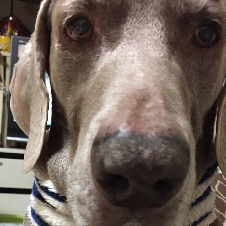 64b1dab9 efd6 4b9c 9b07 b294f8a178f7