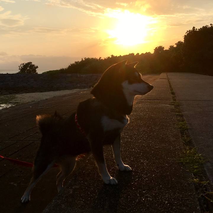 64b20963 b969 46a7 ba54 d5c3a6cc2f4f