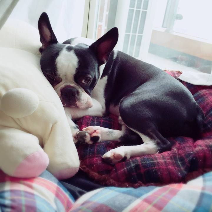 64b259b6 1e5b 4f6b 937e e67f57d2aa98