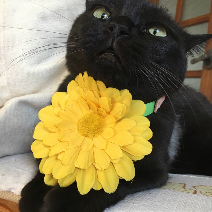 64b2cc8f aab9 4e8c b42d e68074d7dc01