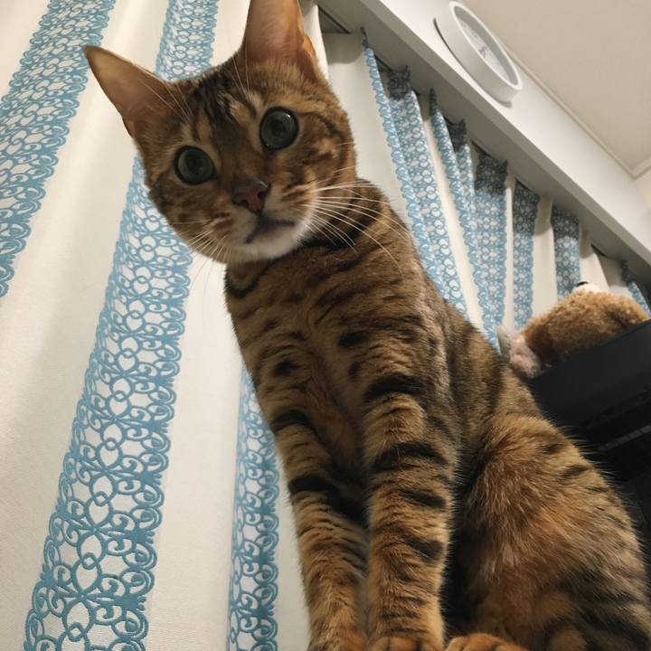 64b2f9cd 18b1 4925 8102 d0f81be53907