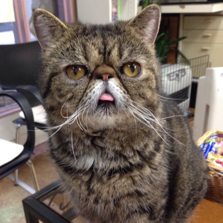 64b39523 3338 458a ac8c ede1526e8a66