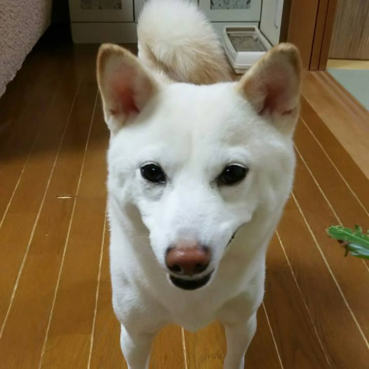 64b3aff8 ee8d 44f9 8cd4 d6aea63e8130