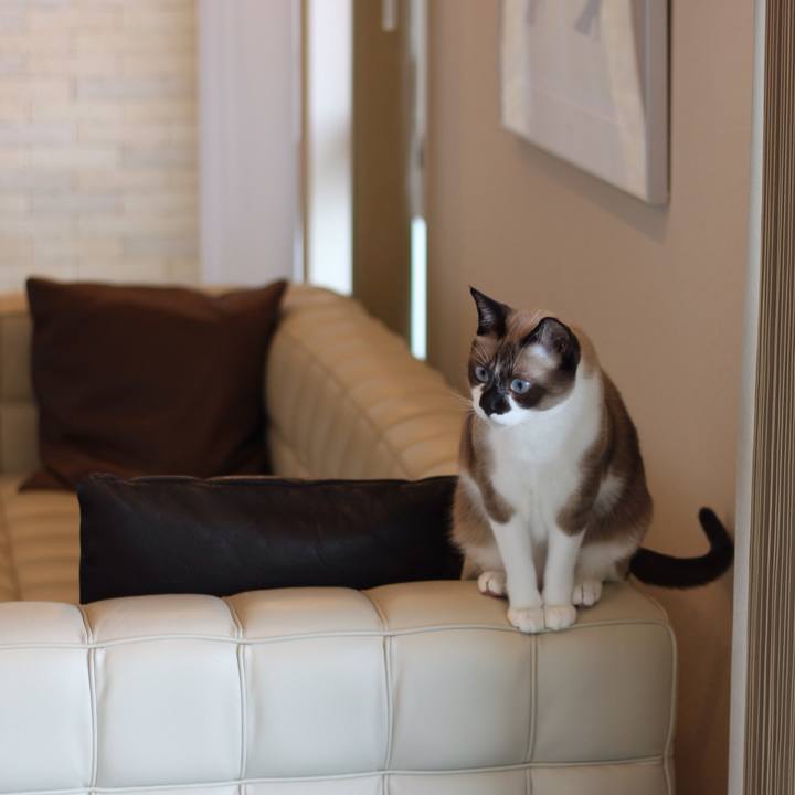 64b3f71a 47fd 4fbc ac89 52ec63e1d87b