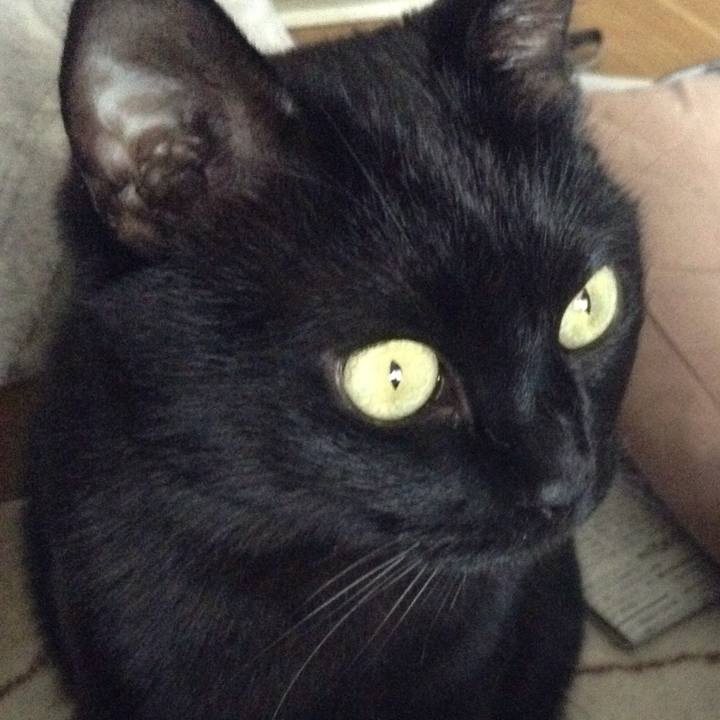 64b4eb43 079e 4055 9e54 02abcd0ab795