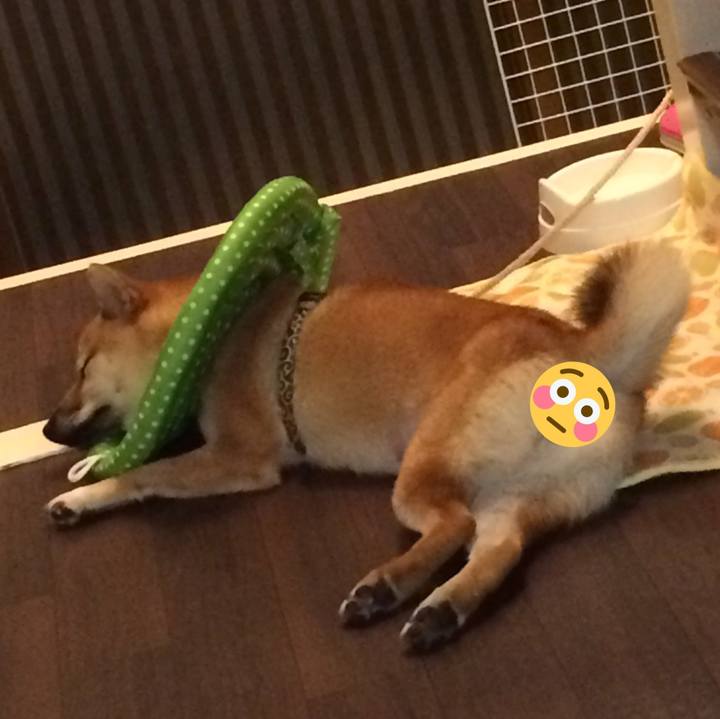 64b5f670 6743 4fff b3e6 0d893b863985