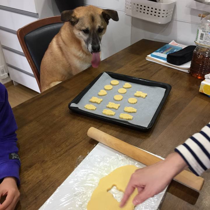 64b616a3 bb33 497c b4ab 09e1a4772d37