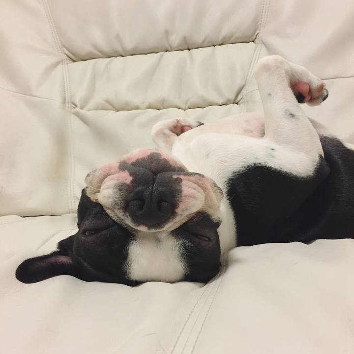 64b63ac9 1fd9 4666 80f4 3871c980a5fa