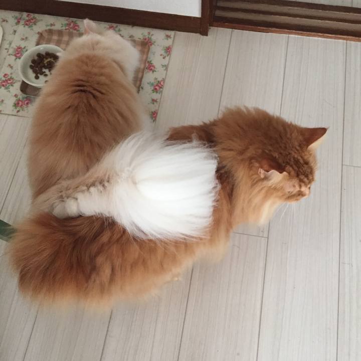 64b673b9 cc65 42e2 be5b 5eaf1a355b52