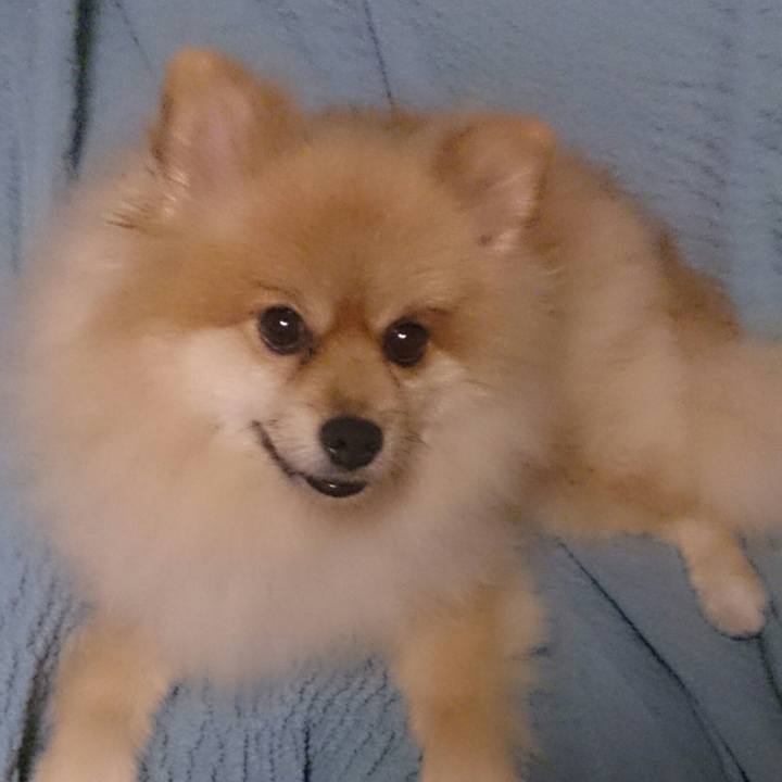 64b6bb02 8bb8 45d9 936e d2d0e443bcc7