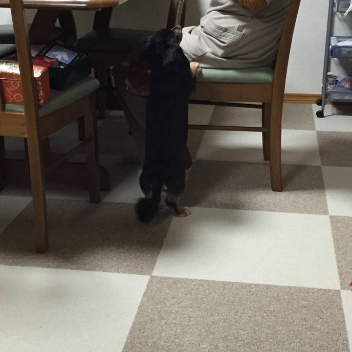 64b6eb79 2530 45ce ae87 351af7b24be6