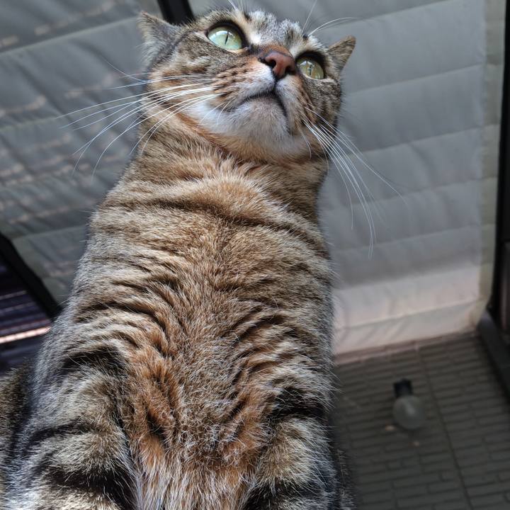 64b7a90e ecb2 4e3d 9ff7 940818b3711e