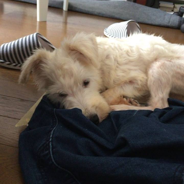 64b7e592 73b0 4502 b741 a6cd7b753ae6