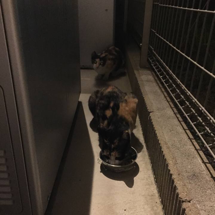 64b87034 6fda 4245 b236 ade138682a5a