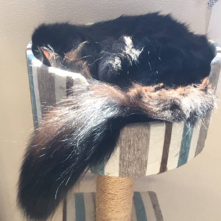 64b8c16f 4eb2 41b5 9cf7 ead3fcf8efa3