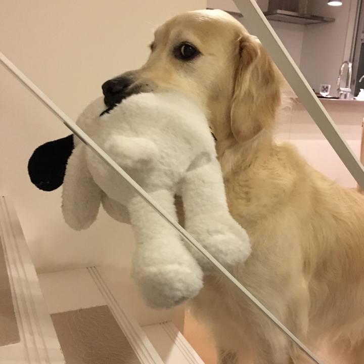 64b8ff35 9bbe 40e2 840f 605eb8d489c9