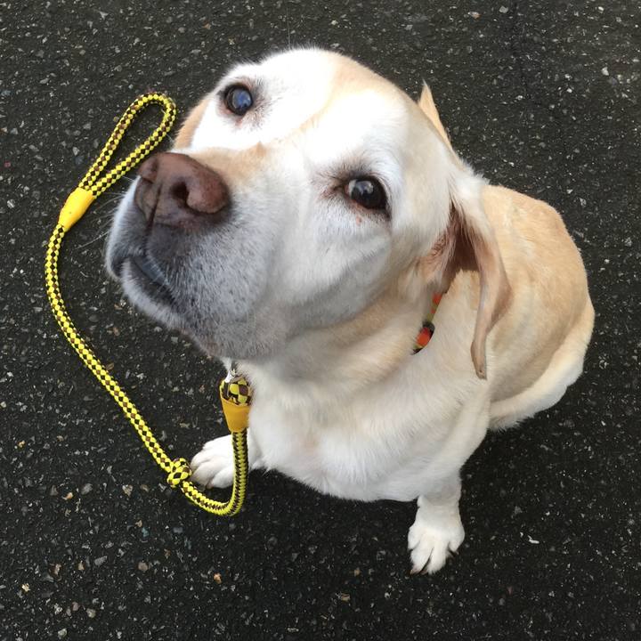 64b90dbb 02b2 4dc9 8628 41d3c15473fe