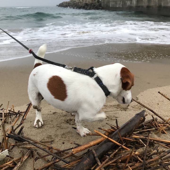 64b98c10 4240 465e bf20 302a80805283