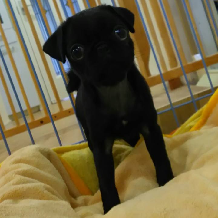 64ba81c0 e88e 4426 b4bd c028d6be043a